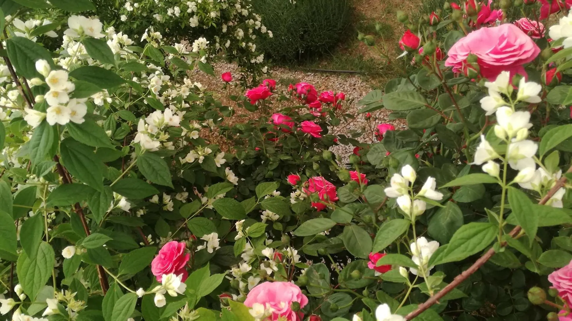 Villa Casa Con Jardin Y Aparcamiento En Viznar, Junto A Granada Casa vacanze